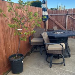 Patio Furniture 