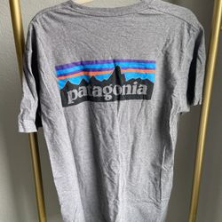 Men’s Patagonia T-shirt Large