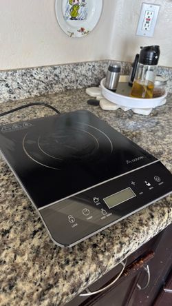 Induction electric burner