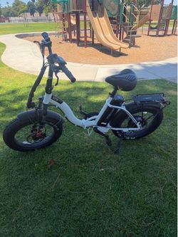 Eco Motion E Bike