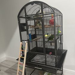 Bird Cage Like Condo