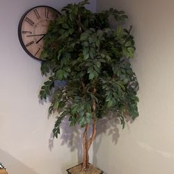 Faux Indoor Tree