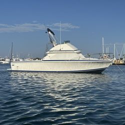 28 Bertram Sport Fisher