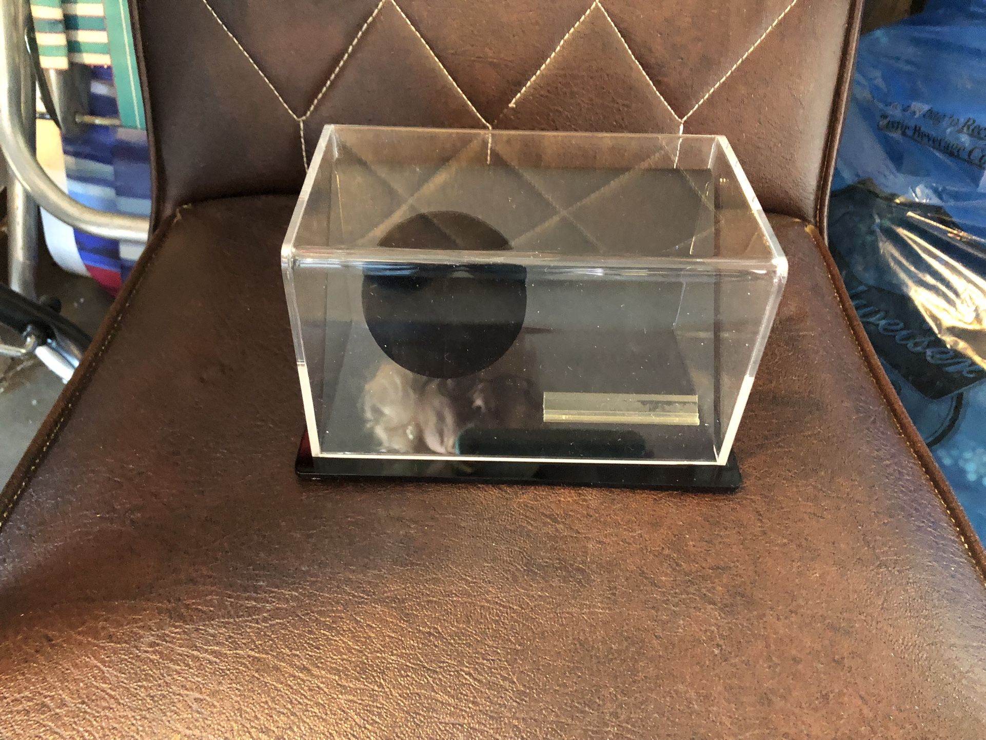 Baseball Display Cases -NEW