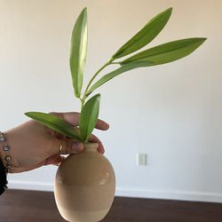 Small Fake Plant 