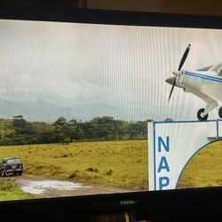Toshiba Regza TV 
