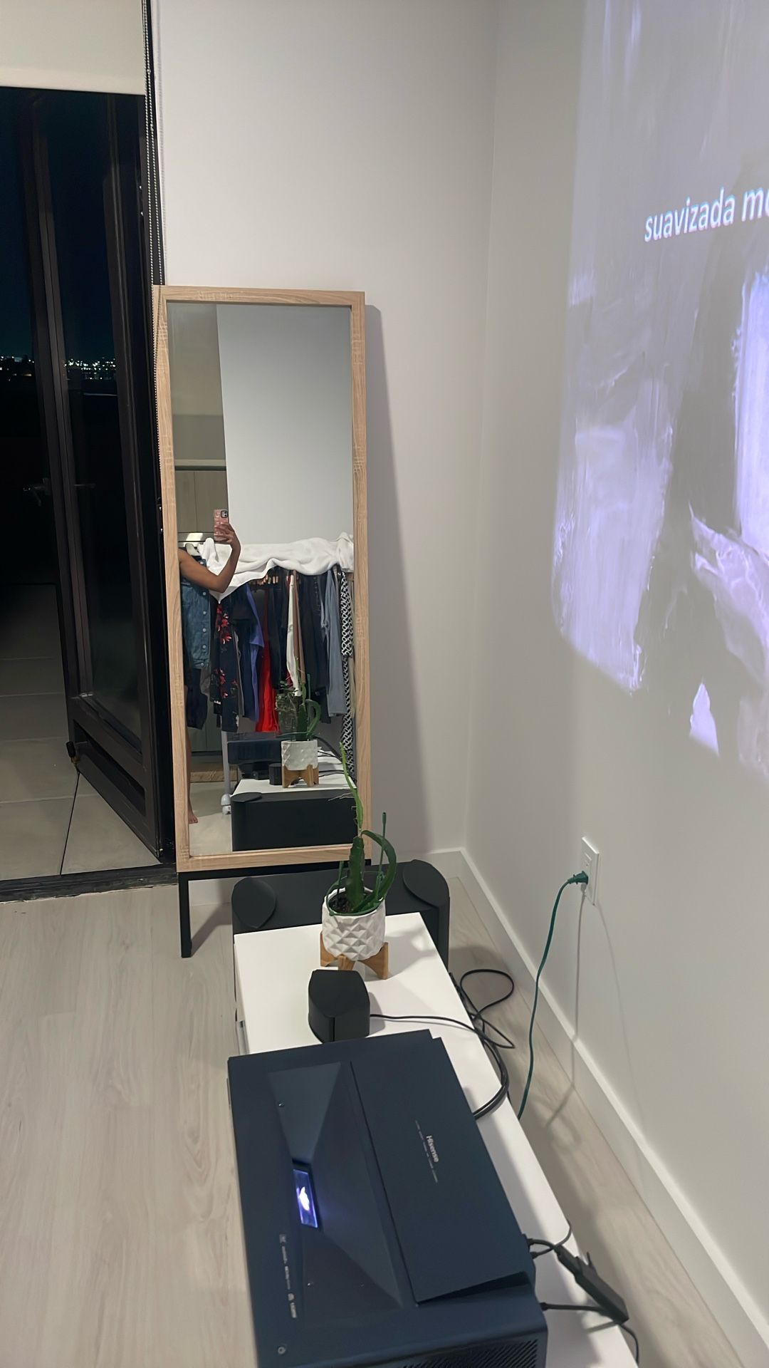 Long And Minimalist Mirror $33