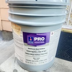 Paint Pro Industrial 