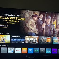 55 Inch Vizio Tv
