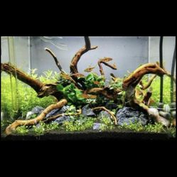 Aquarium Spiderwood Driftwood Fish Wood Reptile Piece Large Medium Natural Branch Root Home Decor