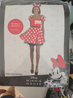 Minnie Mouse Costume
