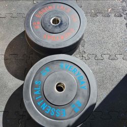Bumper Plates 2 pairs 