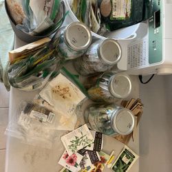 seeds organic, heirloom, non-Gmo a lot