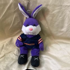 Denver Bronco Collector Item