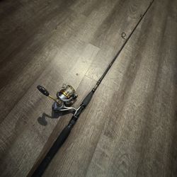 Shimano Sedona 3000 Penn Carnage 3  7’8-15 