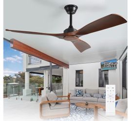 Deputy 52” indoor/outdoor ceiling fan remote/wall control