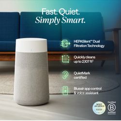 Blueair Air Purifier