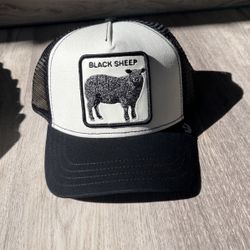 Black Sheep Goorin bros adjustable hat 🧢