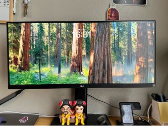 LG 29" UltraWide FHD Monitor (29WQ500)