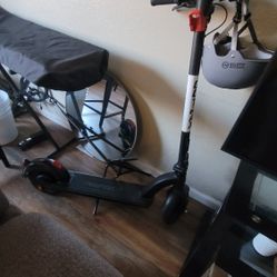 Gotrax Electric  Scotter