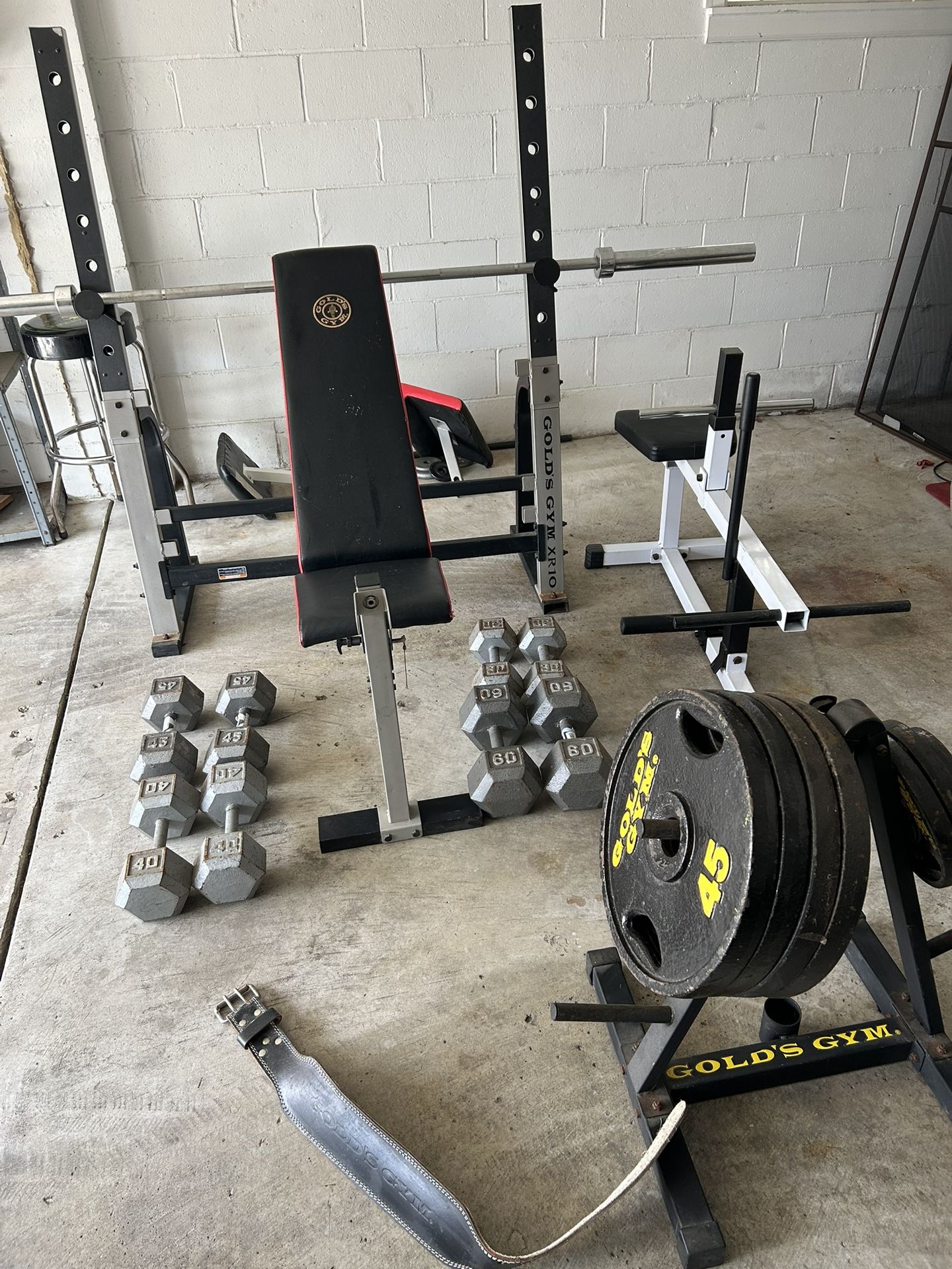Weight Equipment. Bench Press. Calve Machine