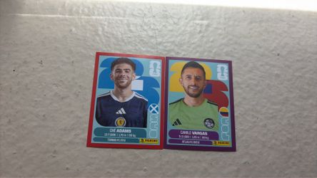 FIFA world cup panini really rare