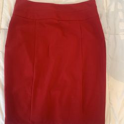 Woman’s Pencil Skirt 