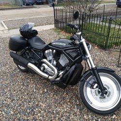 2005 Harley Davidson V-Rod