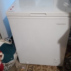 Insignia Freezer For Sale