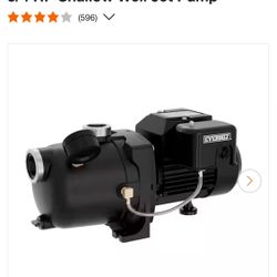 Everbilt 3/4 HP Shallow Well Jet Pump