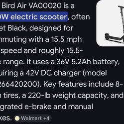 Bird Air Scooter 
