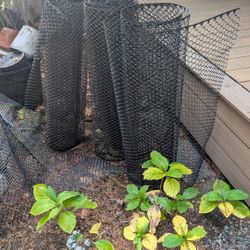 Chicken Wire (Metal and Plastic)