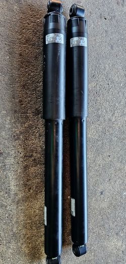 Rear Strut Shock Ford F150 2021-2024 Pair ML34-18080