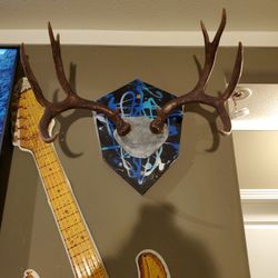 Deer Rack
