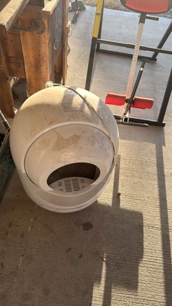 Electric litter box