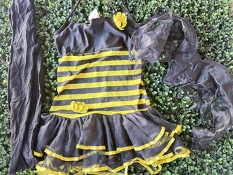 Bee 🐝 costume