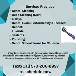 Dental Cleaning 