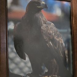 Antique Auburn Photos