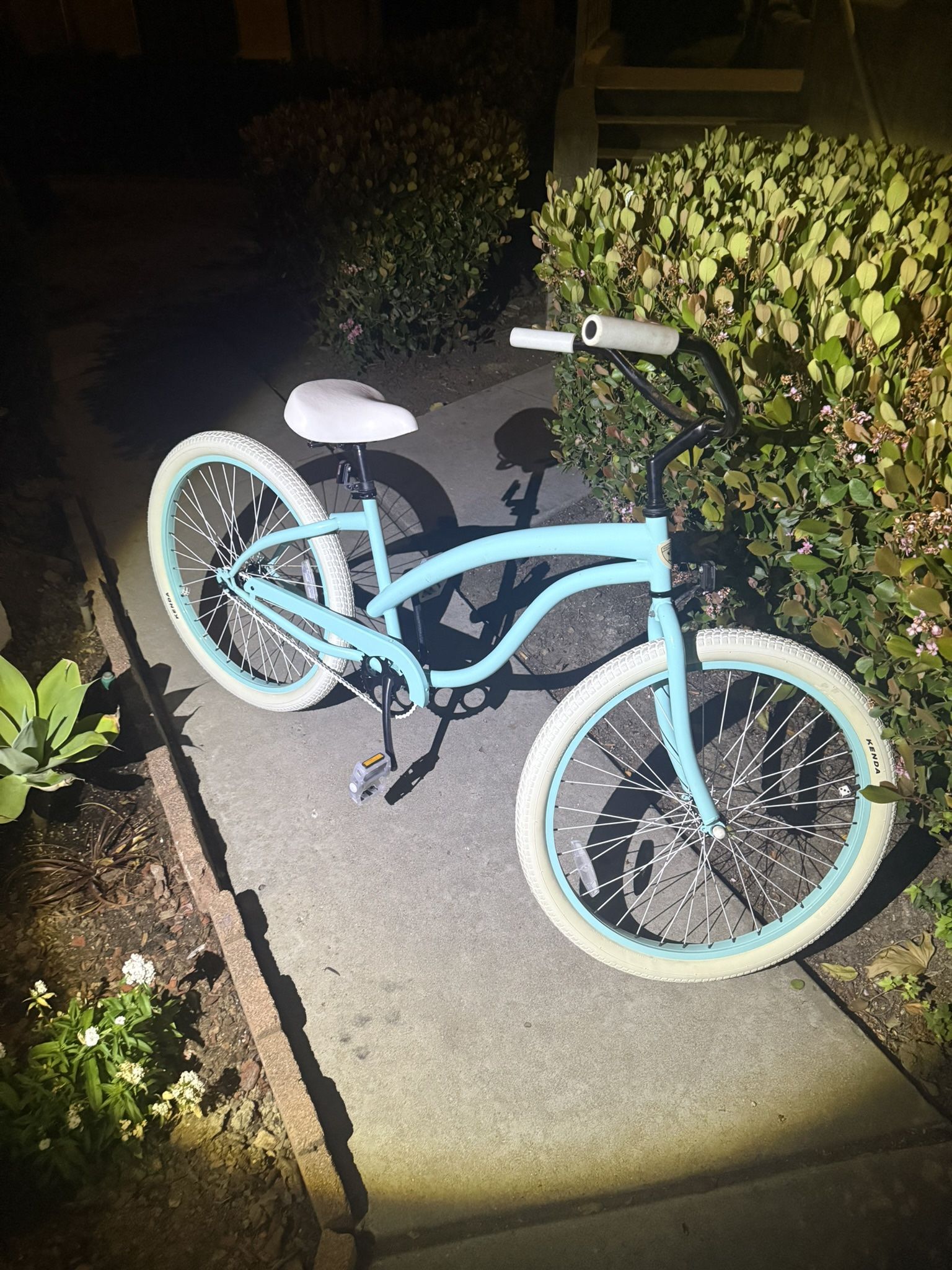 Custom Design Beach Cruiser (girly)
