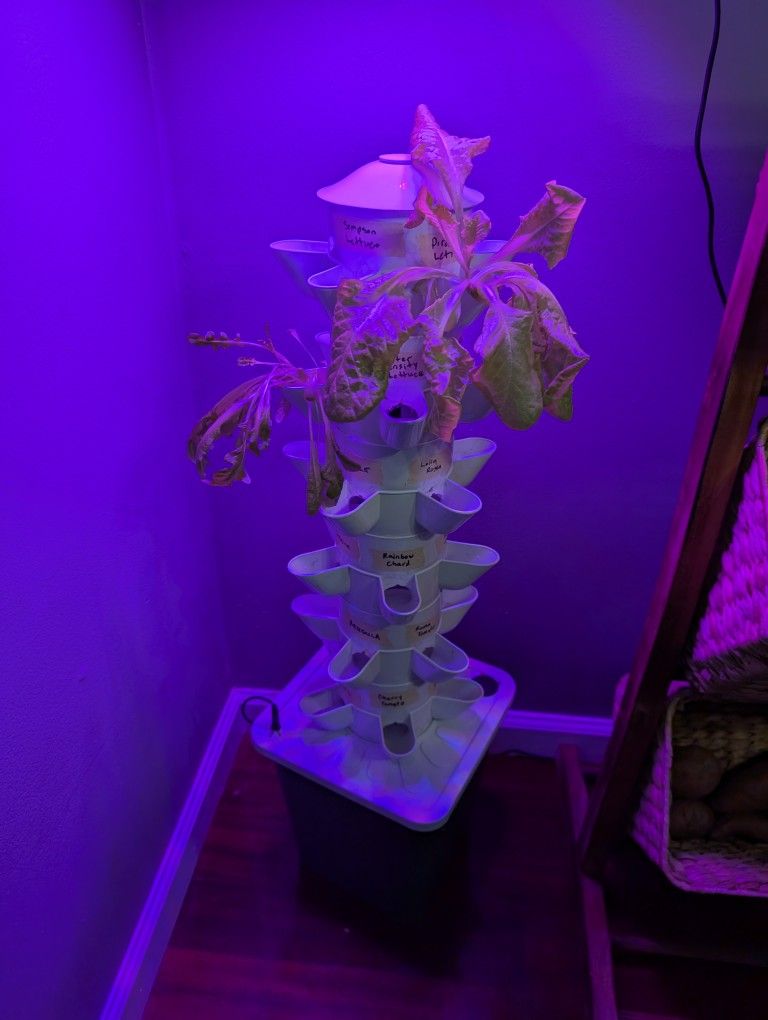 40 Pod Hydroponic Garden with UV Light
