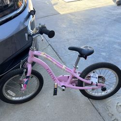 Electra Bike