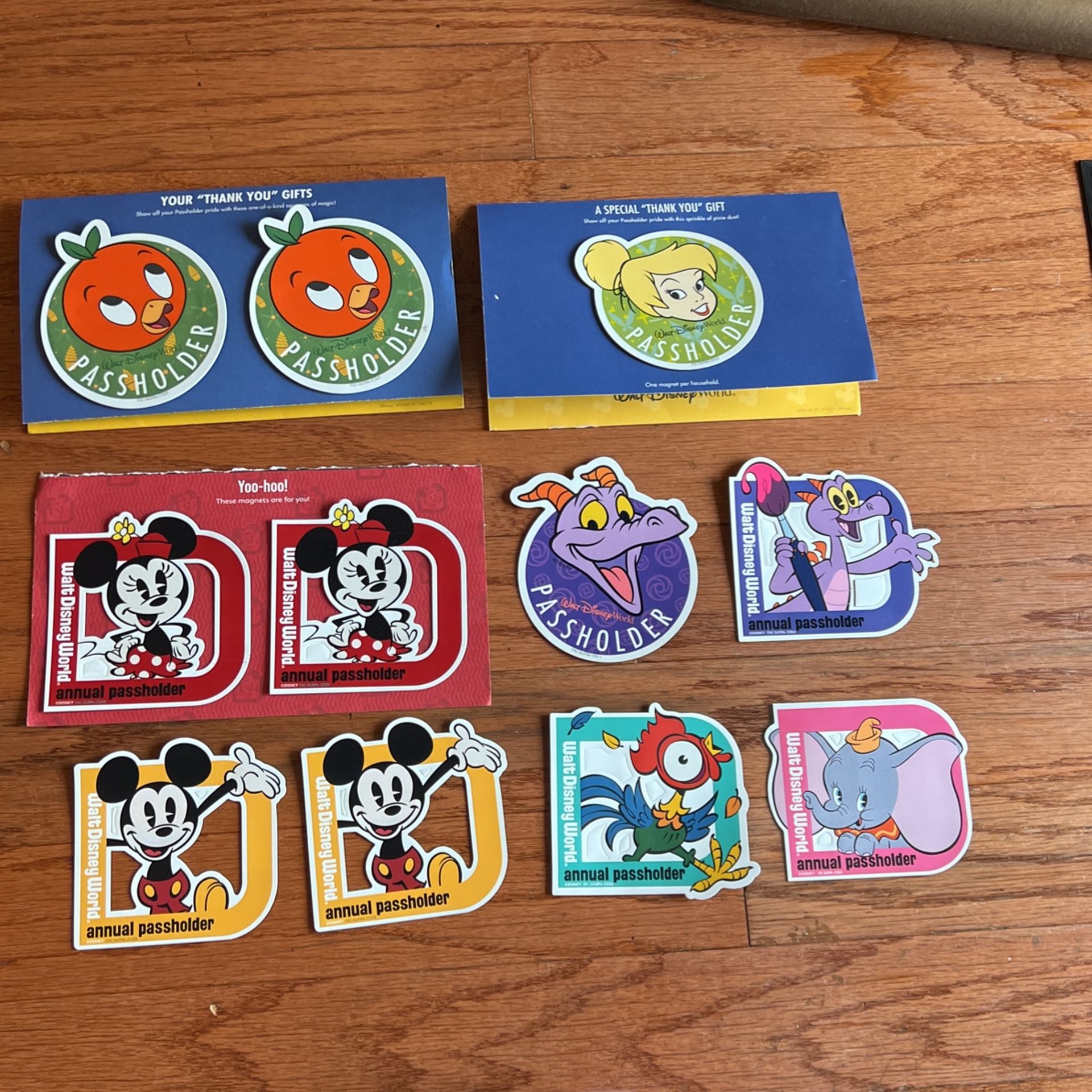 Disney Passholder Magnets