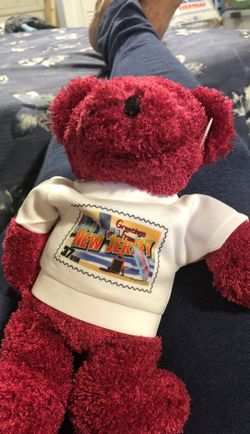 9” New Jersey bear