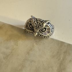 Eagle Ring sliver color, cool jewelry, open adjustable ring 