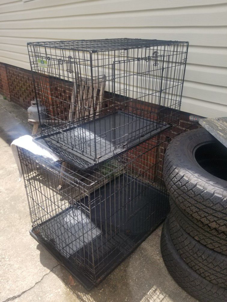 Large And Medium Kennel