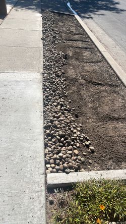 Mexican pebbles