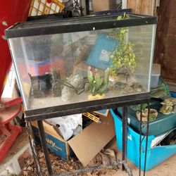 Aquarium With Stand