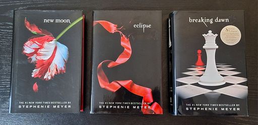 TWILIGHT SAGA HARDCOVER BOOKS SET [3] - BREAKING DAWN SPECIAL EDITION