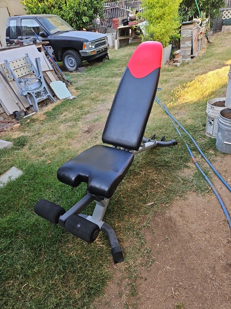 Exercise Bench