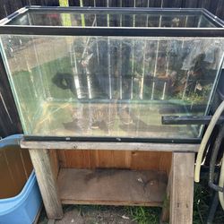 Large (20 Gallon) Aquarium & Wood Cabinet Stand